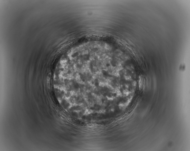 X0000098011059200804251109