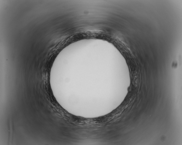 X0000098011061200804251109