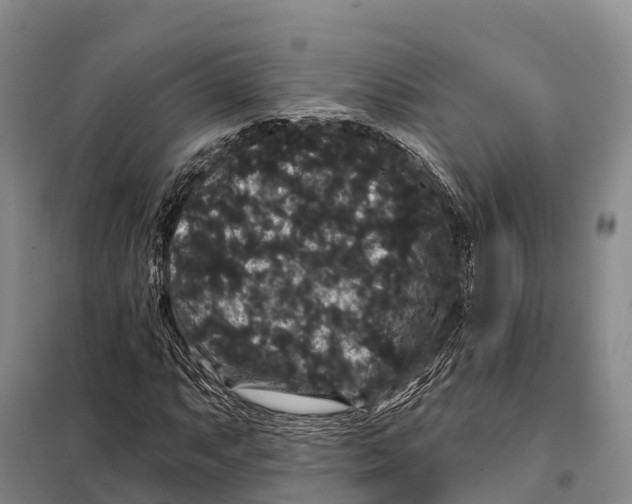 X0000098011063200804251109