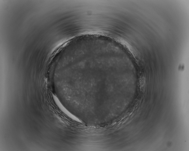 X0000098011064200804251109