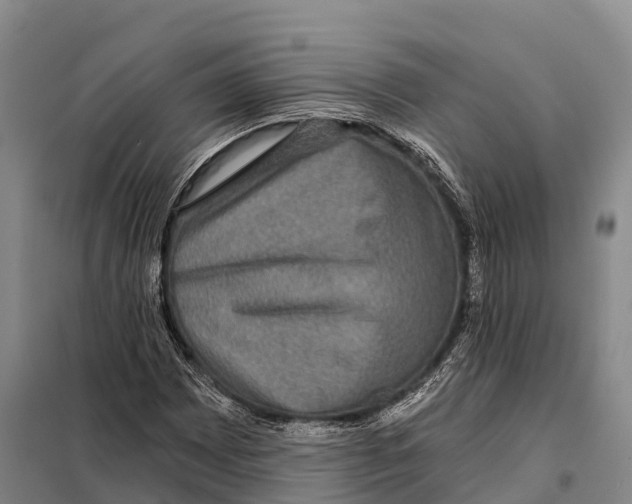 X0000098011065200804251109