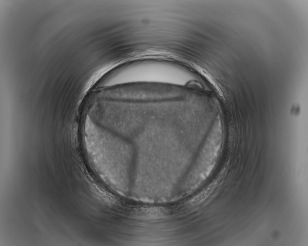 X0000098011066200804251109