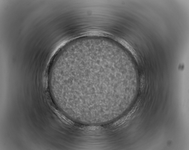 X0000098011067200804251109