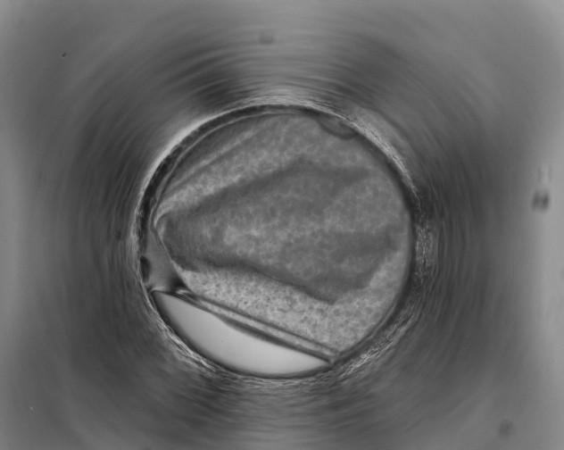 X0000098011068200804251109