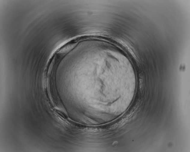 X0000098011069200804251109