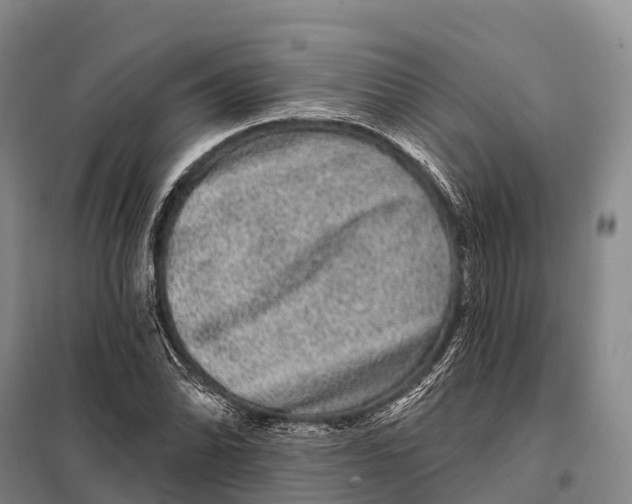 X0000098011070200804251109