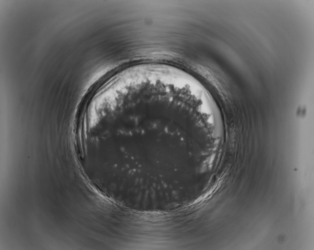 X0000098011071200804251109