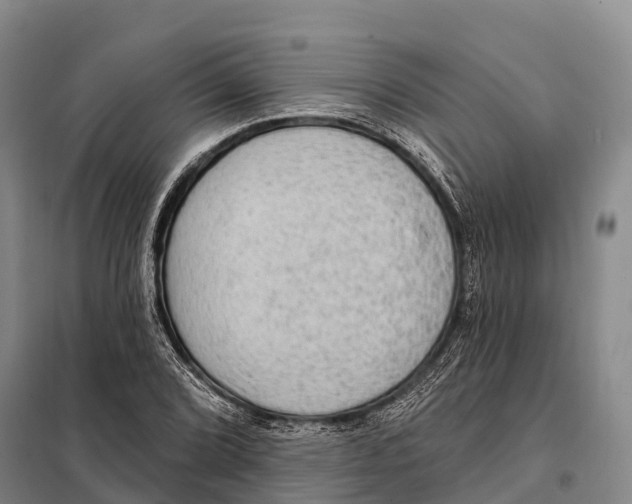 X0000098011072200804251109