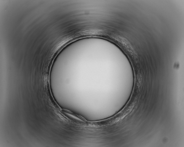 X0000098011073200804251109