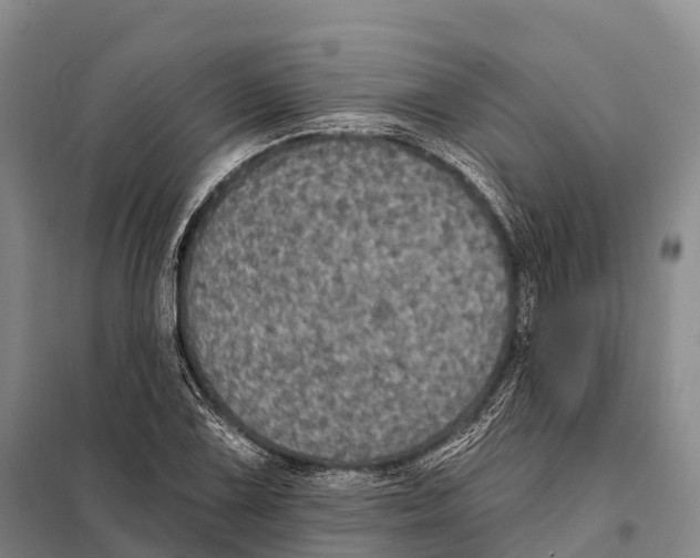 X0000098011075200804251109