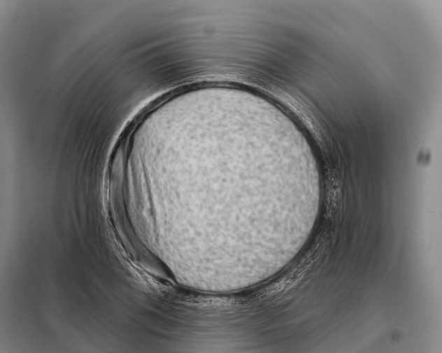 X0000098011076200804251109