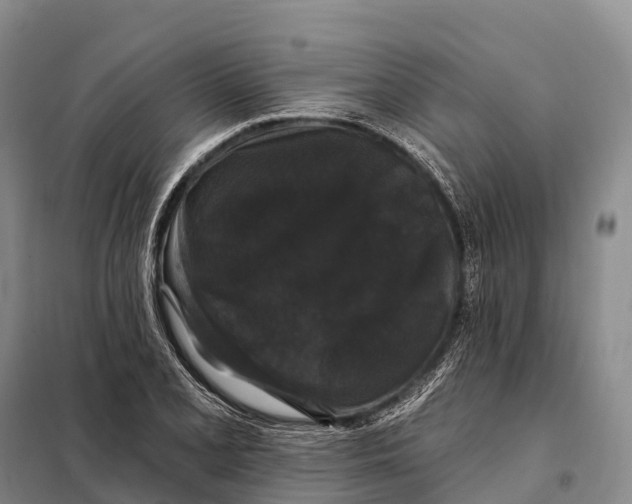 X0000098011077200804251109