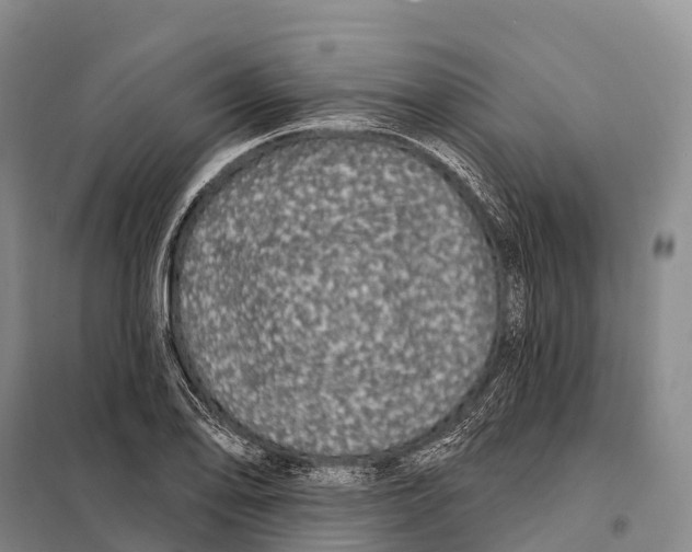 X0000098011078200804251109