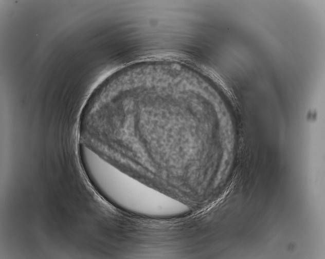 X0000098011079200804251109