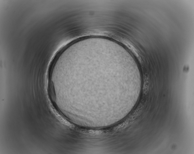 X0000098011080200804251109