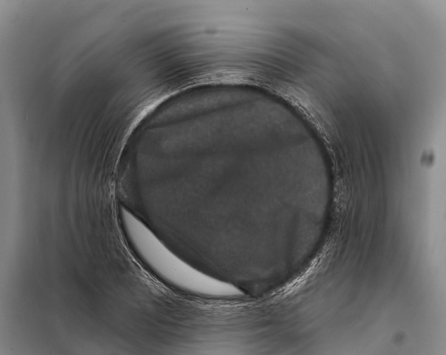 X0000098011081200804251109