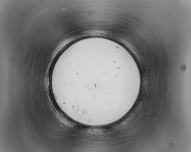 X0000098011082200804251109