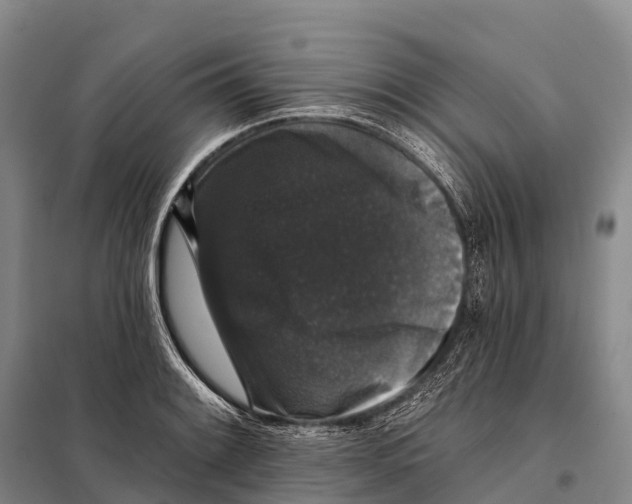 X0000098011084200804251109