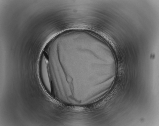 X0000098011085200804251109