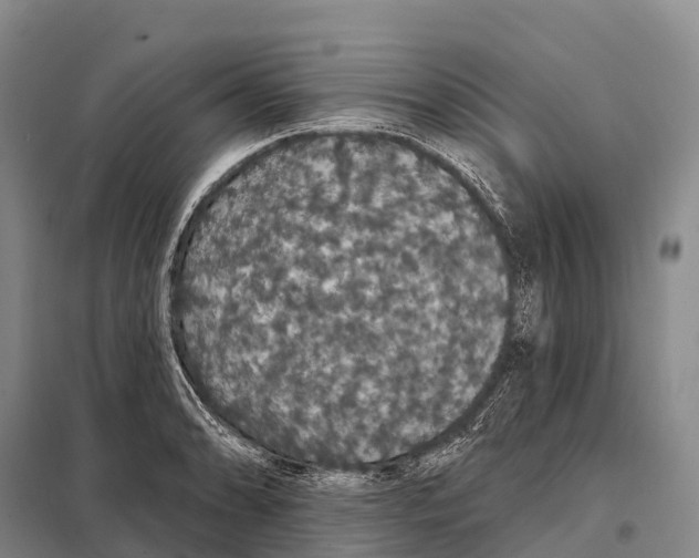 X0000098011086200804251109