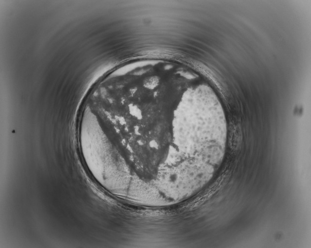 X0000098011087200804251109