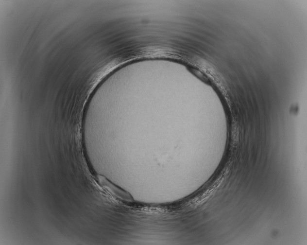 X0000098011089200804251109