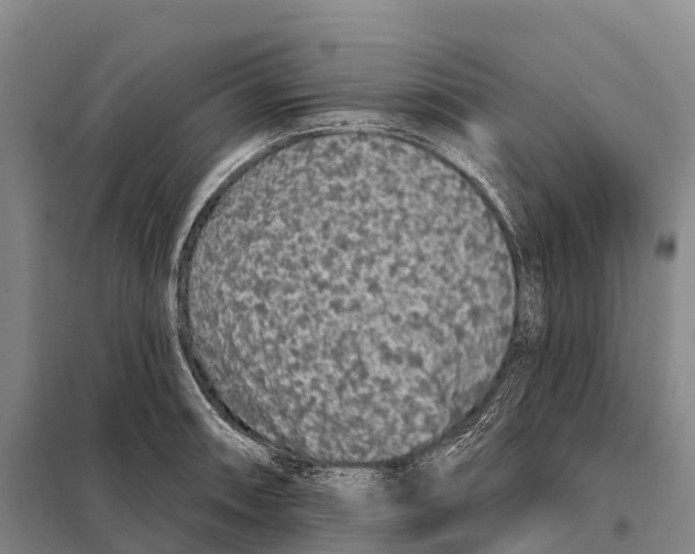 X0000098011090200804251109