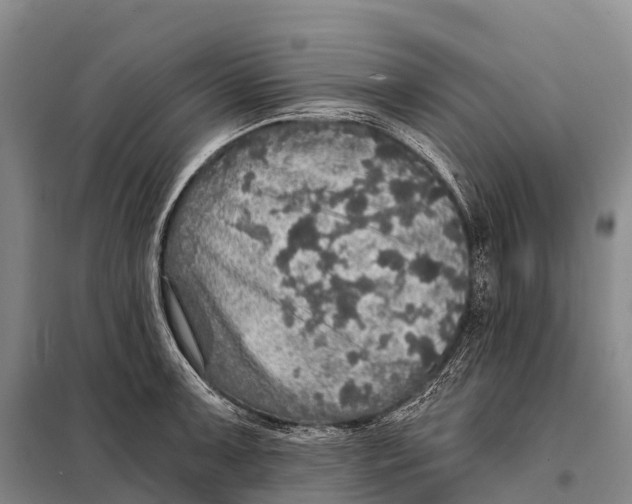 X0000098011091200804251109