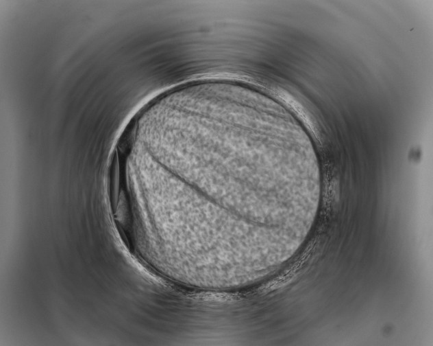 X0000098011092200804251109