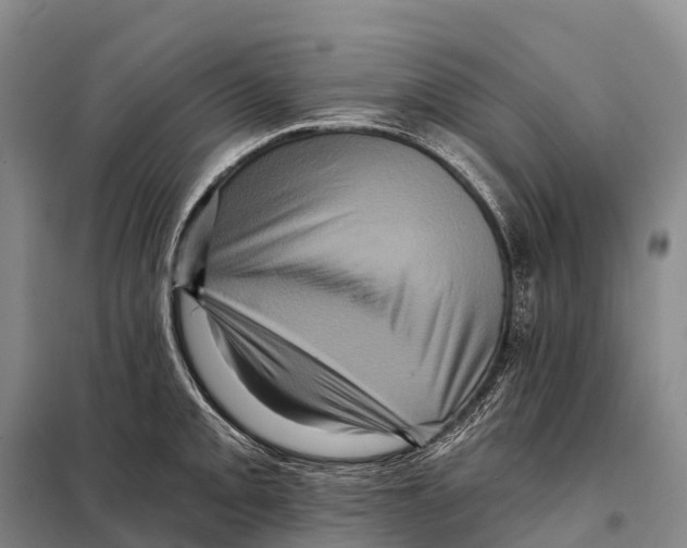 X0000098011093200804251109