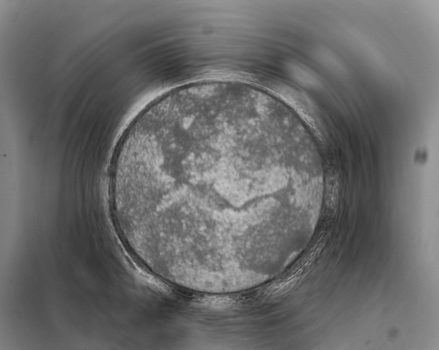 X0000098011094200804251109