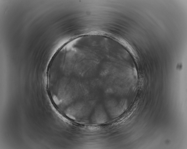 X0000098011095200804251109