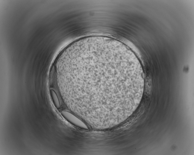 X0000098011096200804251109