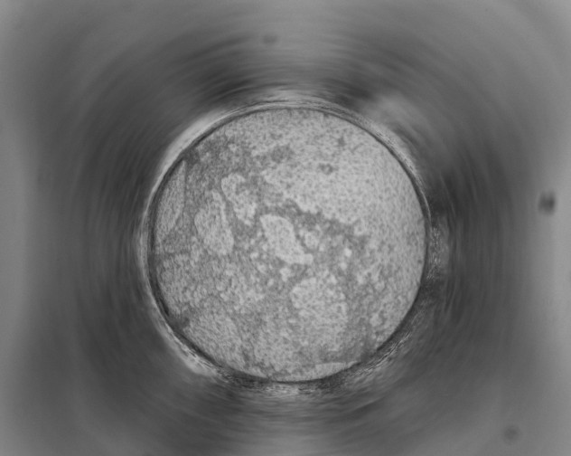 X0000098011098200804251109