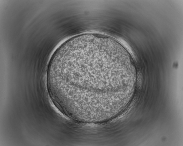 X0000098011100200804251109