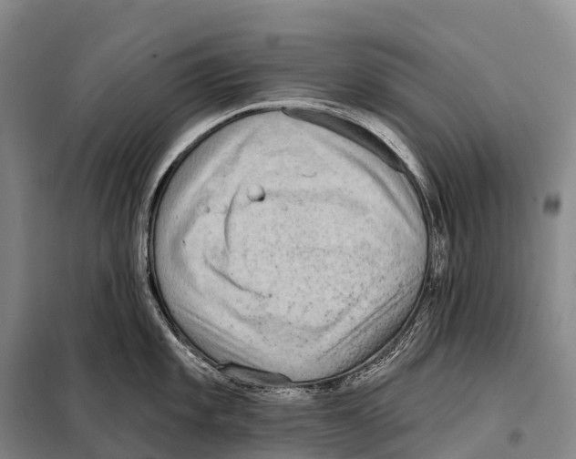 X0000098011101200804251109