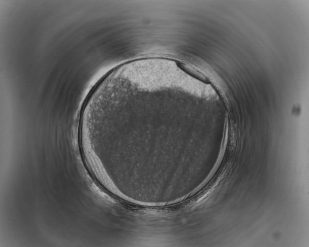 X0000098011102200804251109