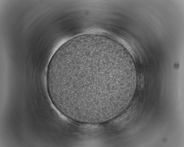 X0000098011103200804251109