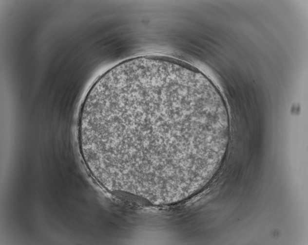 X0000098011104200804251109