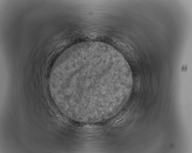 X0000098011105200804251108