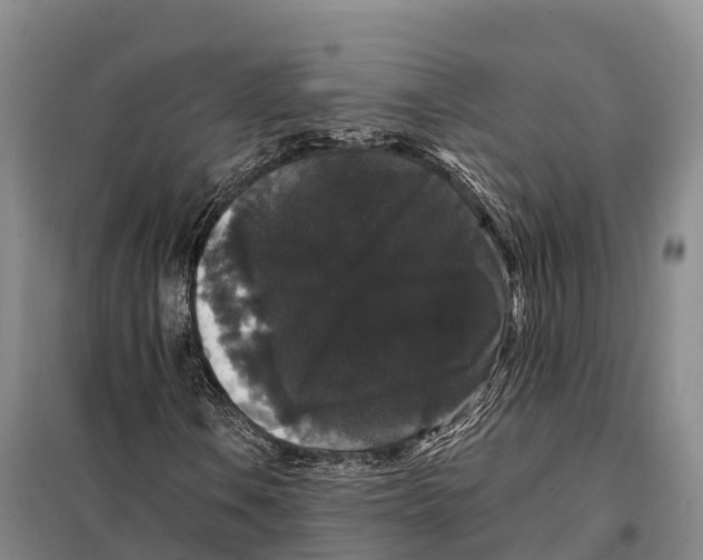 X0000098011106200804251108