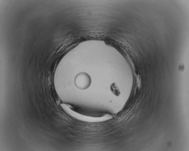 X0000098011107200804251108