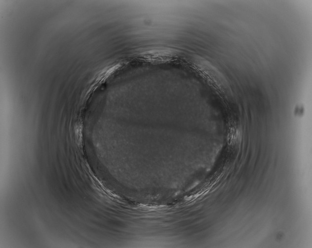 X0000098011108200804251108