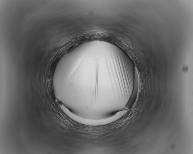 X0000098011109200804251108