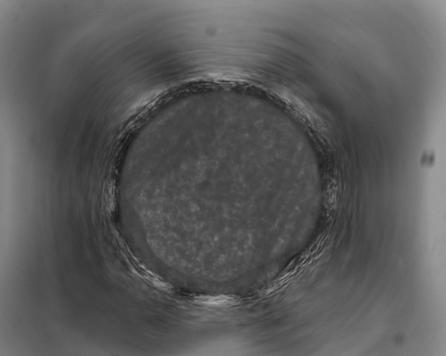 X0000098011110200804251108