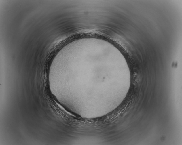 X0000098011111200804251108