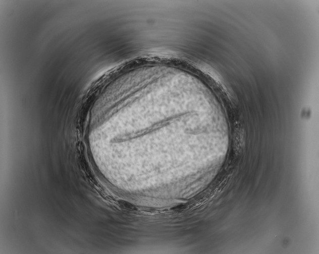 X0000098011112200804251108