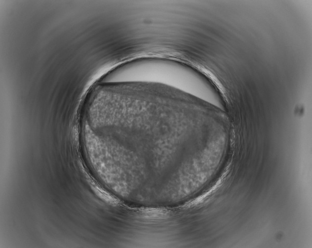 X0000098011114200804251108