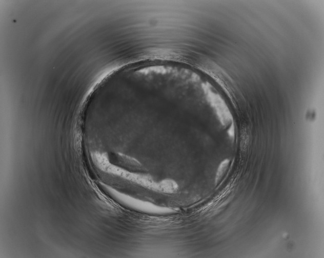 X0000098011115200804251108