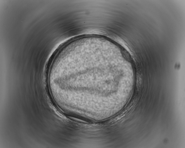 X0000098011116200804251108